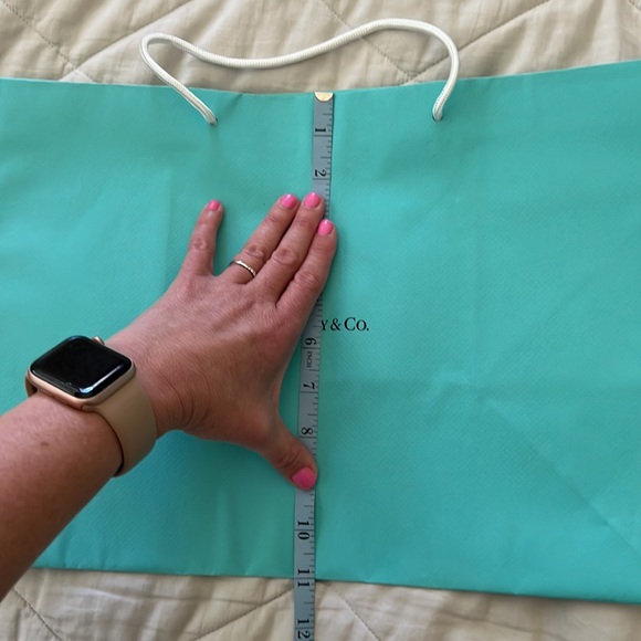 Tiffany & Company Shopping Gift Bag tote - Picture 14 of 16